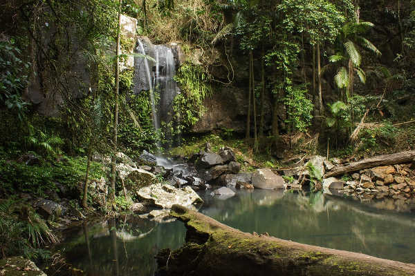 Curtis Falls, QLD